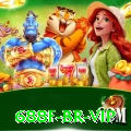 688f BR VIP