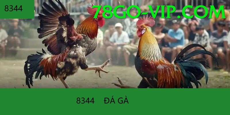 Trường Đấu Đá Gà Chuyên Nghiệp - Game 3D