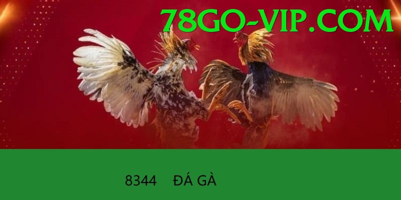 Cách Đọc Kèo Đá Gà - Game hot